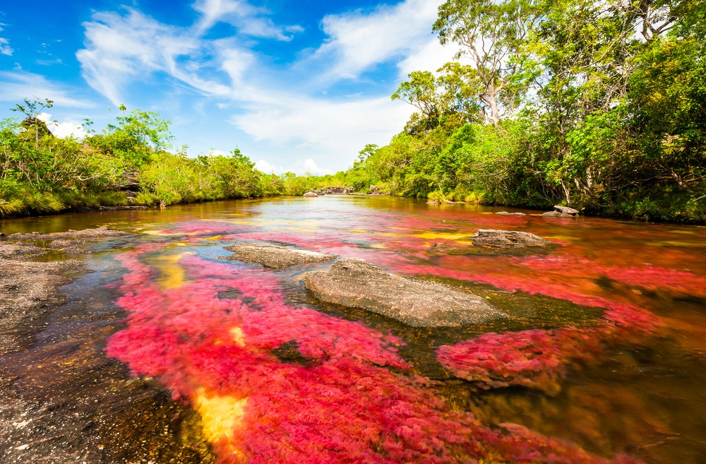 10 Razones para Visitar Boca del Río