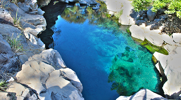 Balneario Ejidal El Bosque