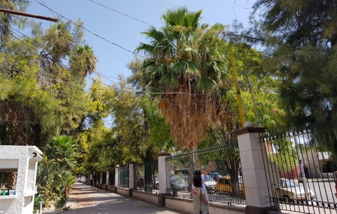 Bosque Venustiano Carranza