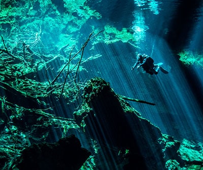 Cenote Diving And Snorkeling Experiences