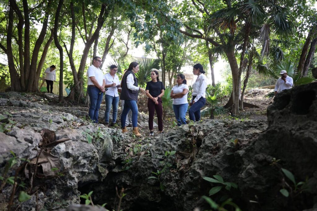 Cenote Urbano Cauich 225