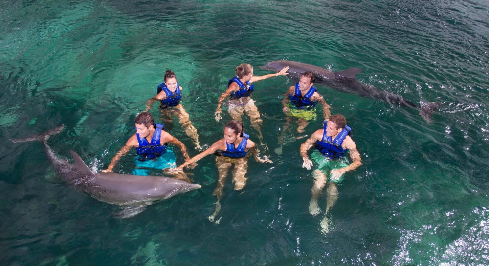 Delphinus Puerto Morelos