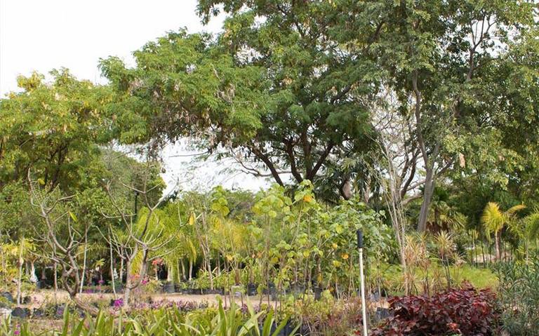 Jardín Botánico Culiacán