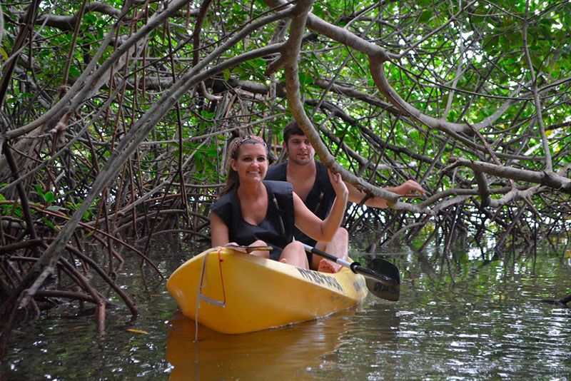 Manglar Parque Acuático