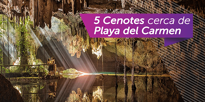 Cenotes En Playa Del Carmen