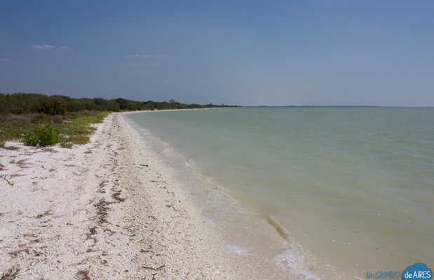 Playas En Celestún