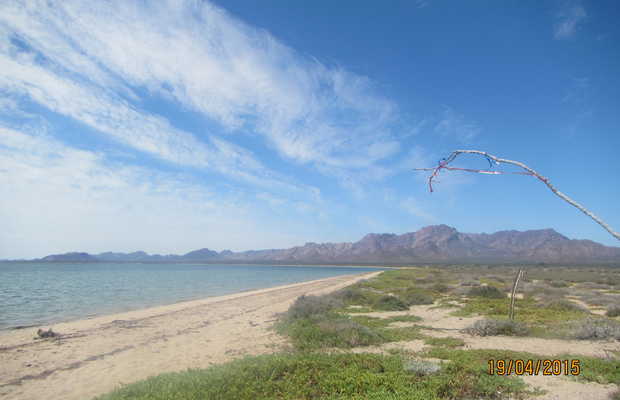 Playas En Isla Tiburón