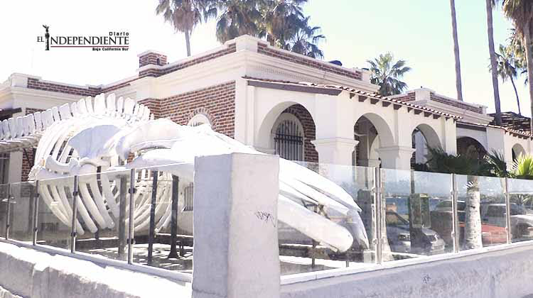 Museo De La Ballena Y Ciencias Del Mar