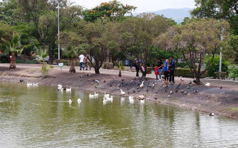 Parque Alfalfares