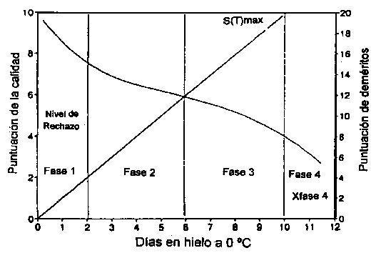 Pescados Y Mariscos La Curva Electrica